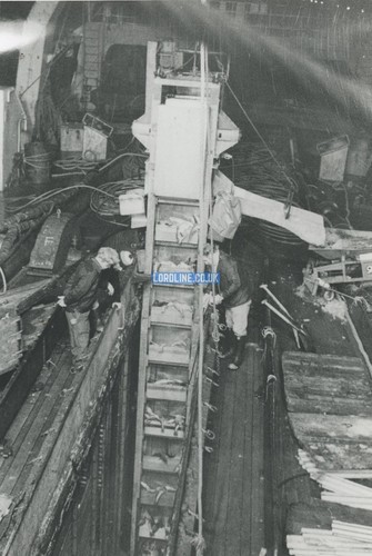 Hull memory lane - memory,