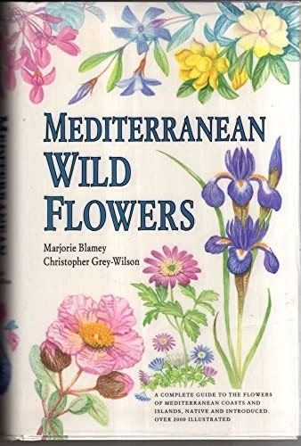 Mediterranean wild flowers - mediterranean,
