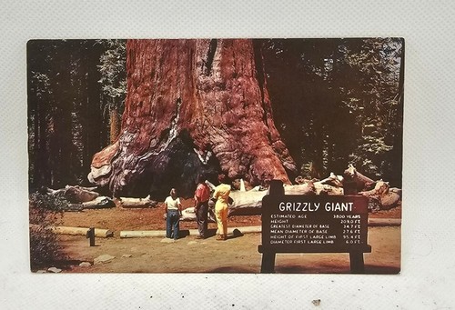 Vtg ephemera postcard unposted - vtg,