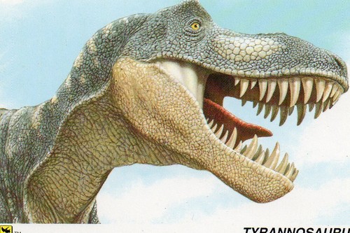 Dinosaur dino cradz - dinosaur,