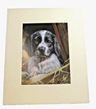 John Trickett B & W Springer