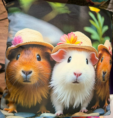 New guinea pig throw pillow - throw,