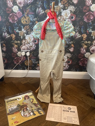 Girls fancy dress - , 5-6