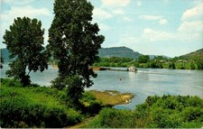 vintage postcard The Beautiful