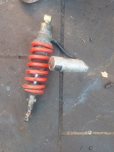 Triumph t595 955 - t595,
