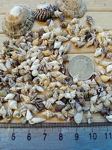 100 micro mixed - micro, tiny