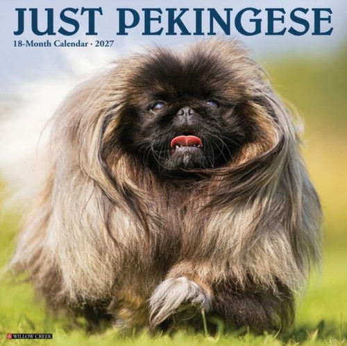 Pekingese 2027 wall - pekingese,
