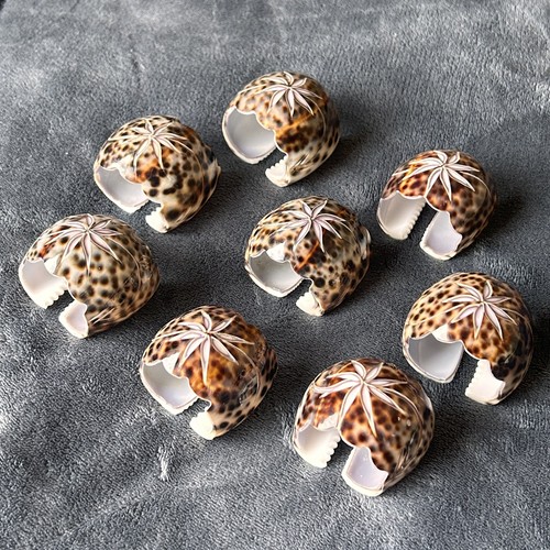 Vintage napkin rings real - vintage,