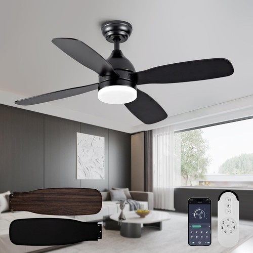 Ceiling fans with - ceiling, lights
