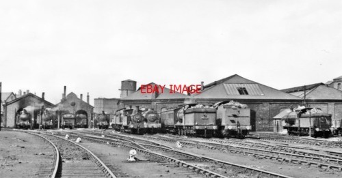 Photo 1953 sunderland - ,
