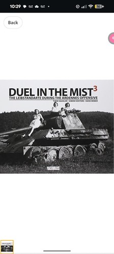 Duel the mist - duel, in