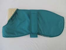 43m whippet coat bright - 17",