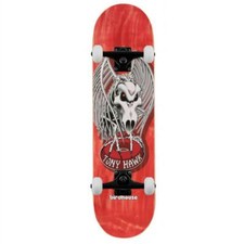 Birdhouse Pro Hawk Falcon 4