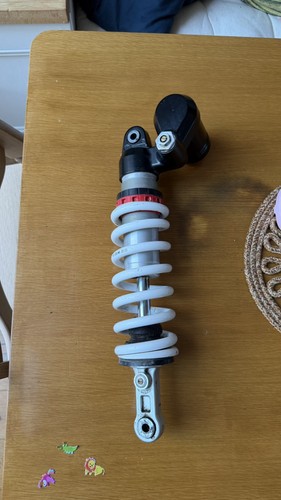 Husqvarna 701 2019 - rear, shock