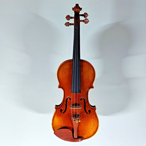 Modern violin - modern,
