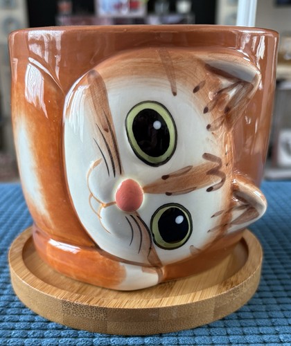 Window garden kitty - window, pots