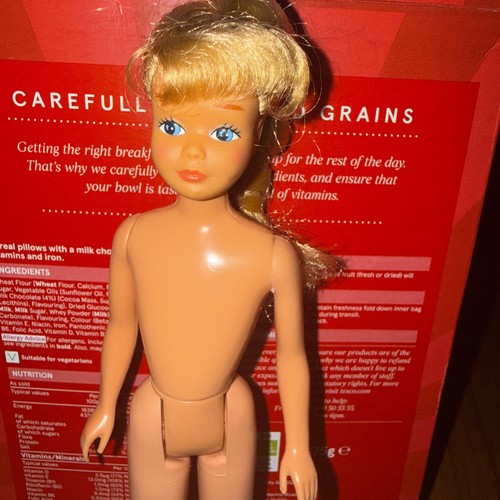 Barbie sister skipper doll - barbie,