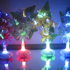 7 Color Changing Fiber Light