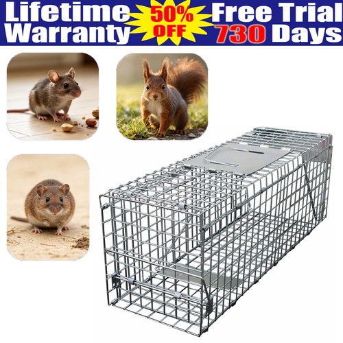 Squirrel trap heavy - trap,