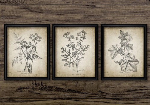 Botanical print set - print,