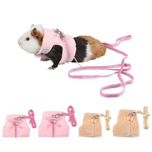 Small pet rat - small, mouse