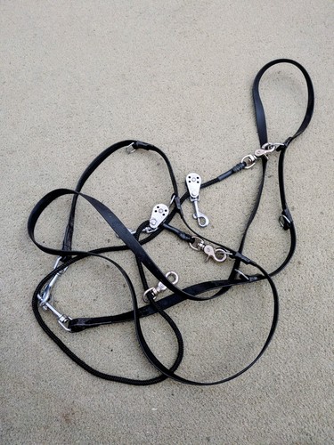 Balancing rein horse training - balancing,