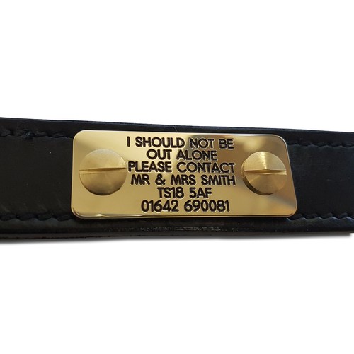 Deeply engraved brass dog - , id
