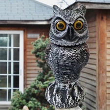 Garden Realistic Owl Decoy