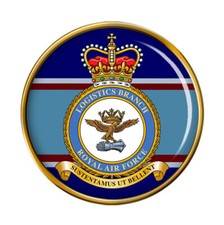 Logistics Branch, RAF Pin