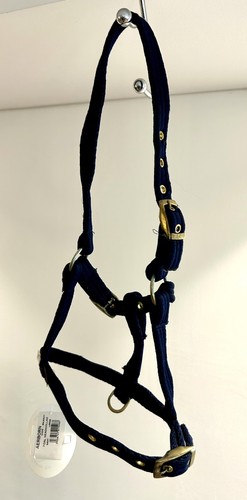 Aerborn brand new large - aerborn, foal