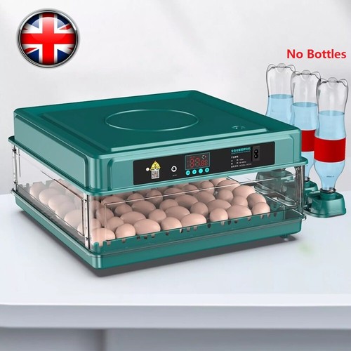 Egg incubators for hatching - egg,