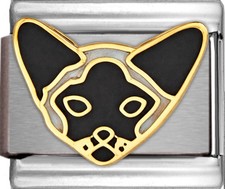 Seal Point Siamese Cat Italian