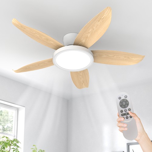 Low profile white - white, ceiling