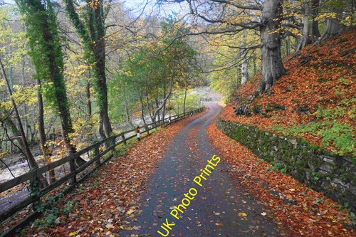 Photo road into bolton - photo, gill