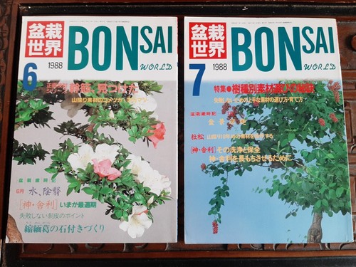 Bonsai world magazines 7 - bonsai,