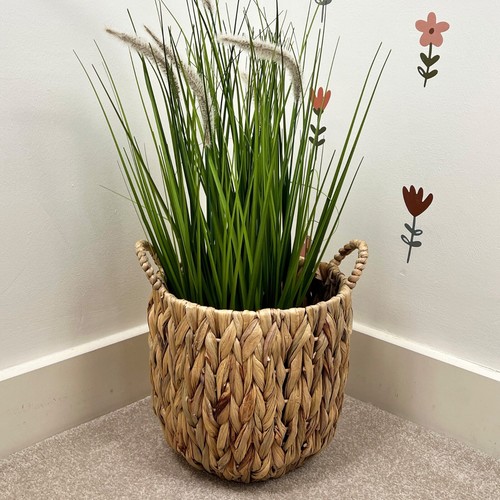 Decorative plant pot indoor - plant,