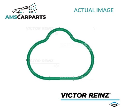 Intake manifold gasket - intake,