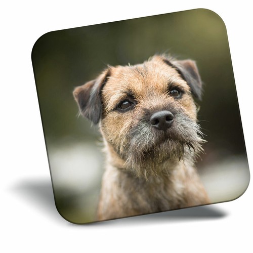 Awesome fridge magnet - fridge,
