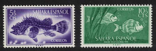Spanish sahara red - sahara,