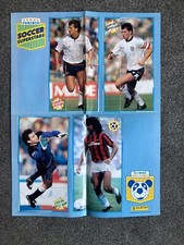 Rare Panini Soccer Superstars