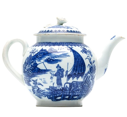 English worcester cormorant - worcester,