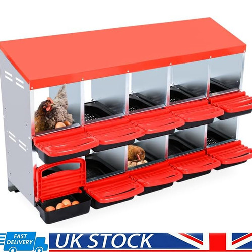 Compartment chicken nesting - chicken,