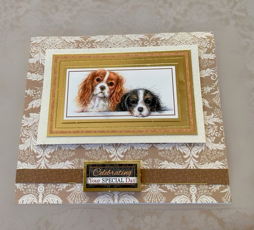 Two adorable little puppies - two,
