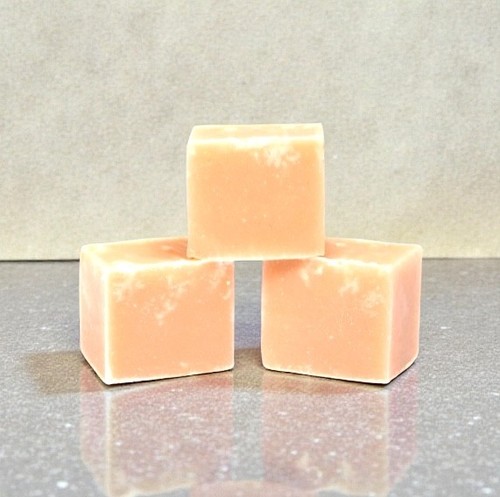 The fudge factory dairy free - the,