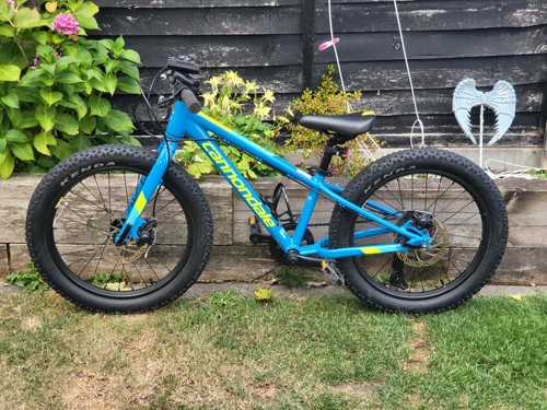 Cannondale 20in kids bike - 20in,