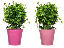 ALUNA HOME Bright Colour Tin