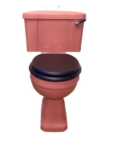 Cameo pink art - pink, toilet