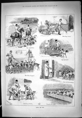 Antique old print - old,