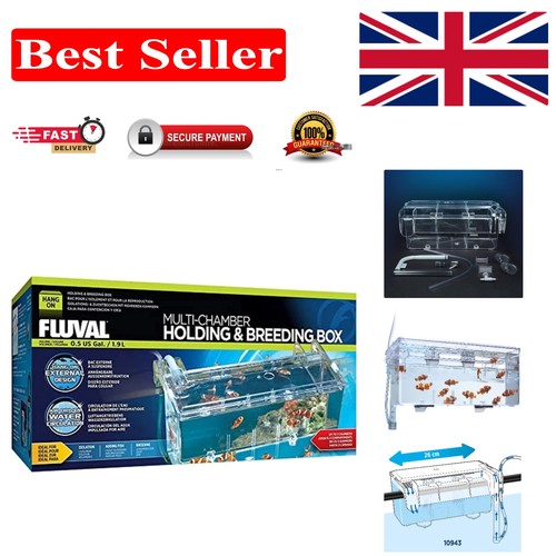 Elegant hang fish breeding - hang-on,