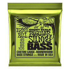 Ernie ball regular - ball,